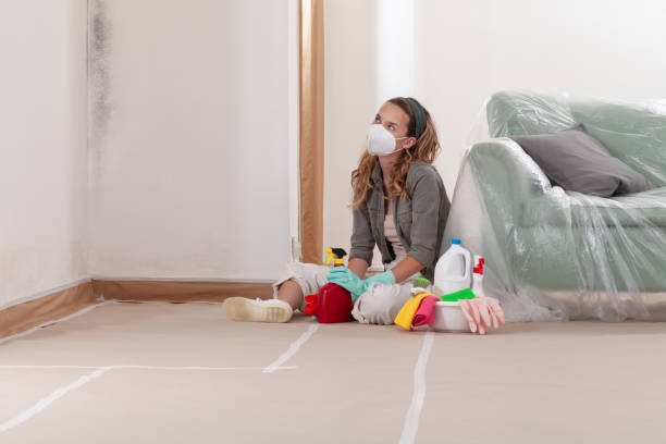Reliable Mold Remediation contractor in Albertson, NY by WQB Mold Removal